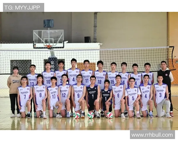 深度对话杨磊揭秘排球人生背后的坚持与梦想