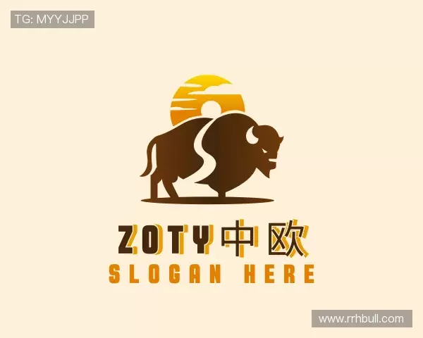 认识zoty中欧